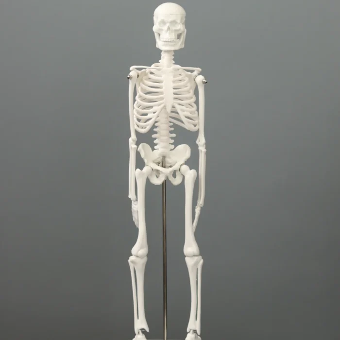 45cm 45cm